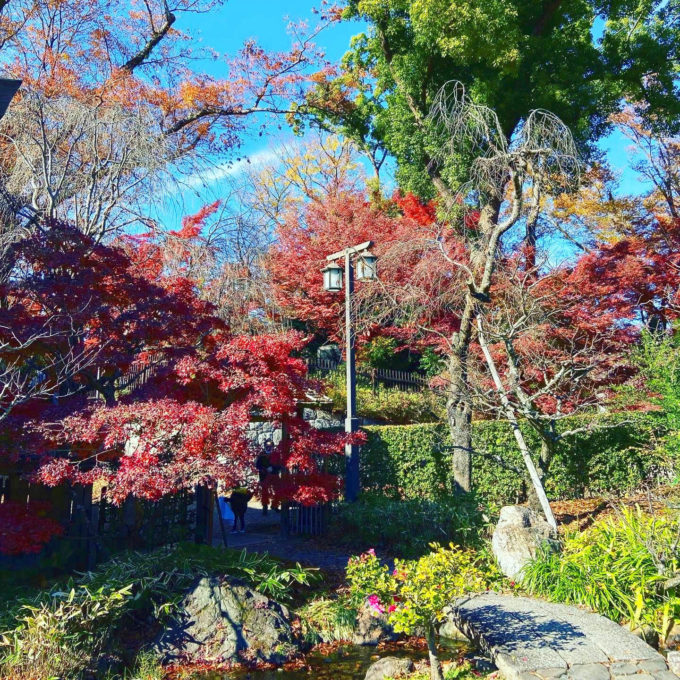 京都北野天満宮庭園