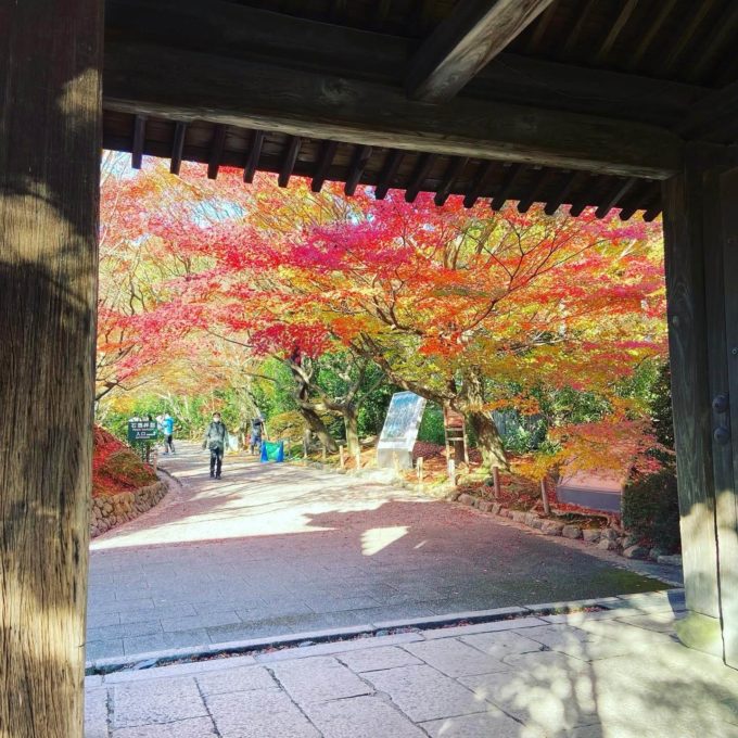 京都龍安寺　
